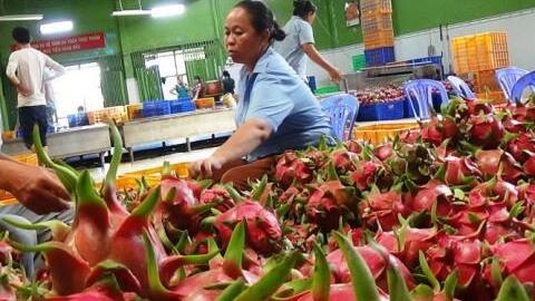 Đối tác bỏ Trung Quốc, chọn nông sản Việt: Lý do là?