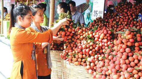 Vietnamese agricultural commodities: Don’t waste geographic indications