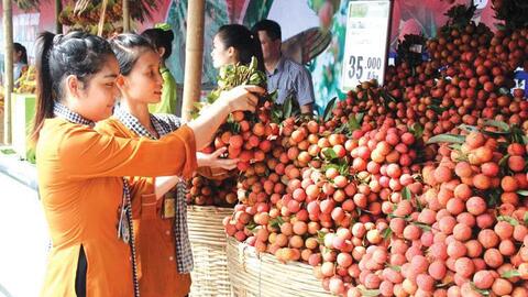 Vietnamese agricultural commodities: Don’t waste geographic indications