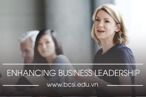 Enhancing business leadership